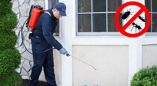Tercan Böcek ve Haşere İlaçlama böcek ilaçlama ve haşere kontrolü — ilaclama-tr.com